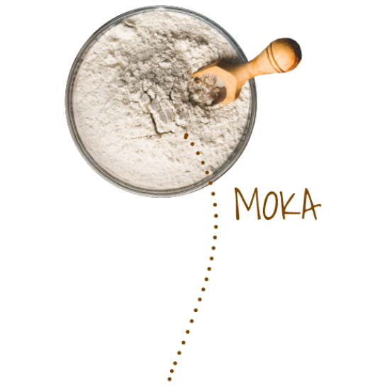 Pšenična polbela - krušna moka 5 kg Pšenična polbela - krušna moka 5 kg